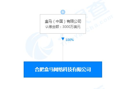 合肥盒馬網絡科技公司成立，注冊資本3000萬美元聚焦網絡信息技術